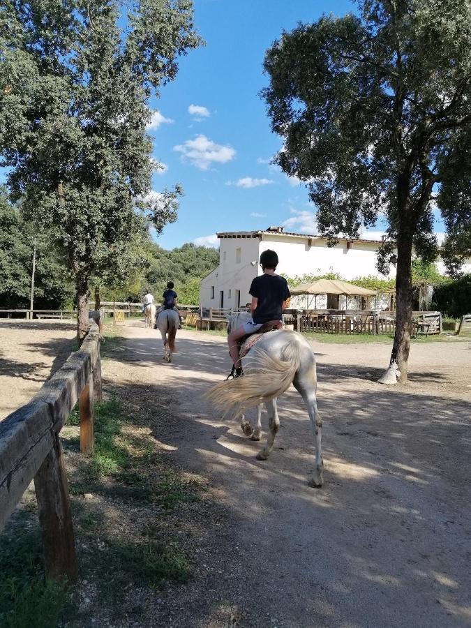 Casa Rural, Can Cirera Seriñá Buitenkant foto